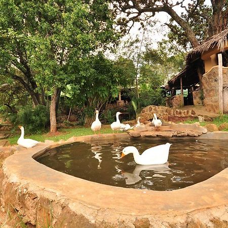 Naiberi River Campsite & Resort Eldoret Εξωτερικό φωτογραφία
