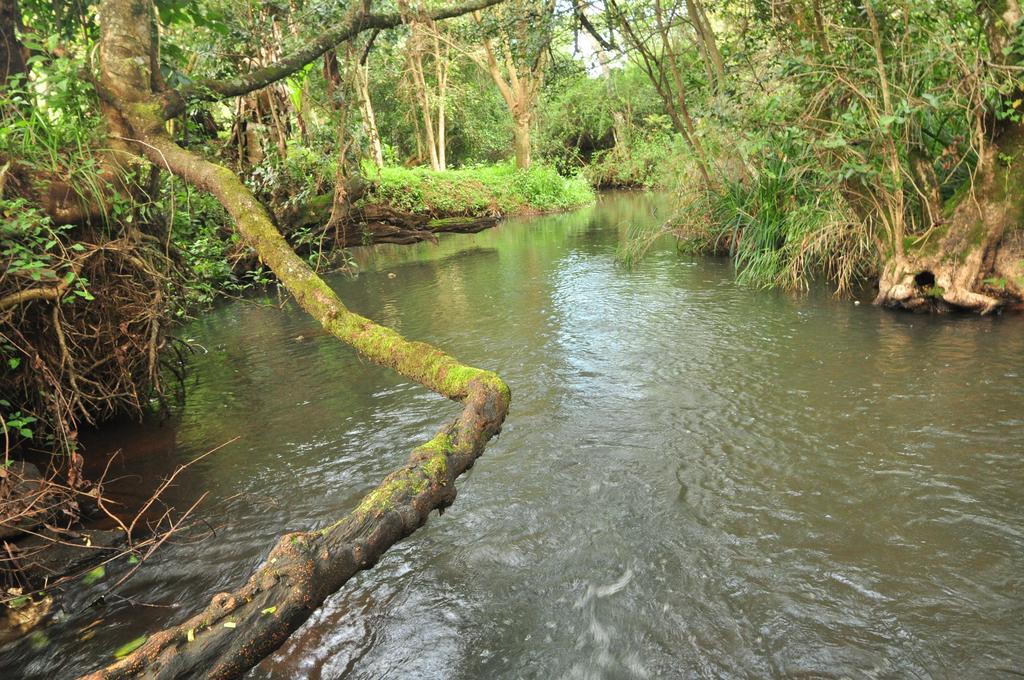 Naiberi River Campsite & Resort Eldoret Εξωτερικό φωτογραφία